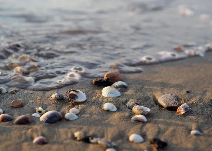 Comfortable Flat Near The Apartment Bibione